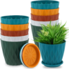 10 Pack 6 Inch Plant Pots with Drainage Hole and Tray Saucer Plastic Pots for Plants Flower Pots for Indoor Plants for Your Room, Office, Garden Decor