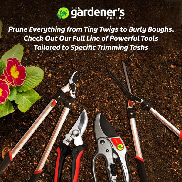 Ratchet Pruning Shears Gardening Tool – Anvil Pruner Garden Shears with Assisted Action – Ratchet Pruners for Gardening with Heavy Duty, Nonstick Steel Blade – Garden Tools by - Image 6