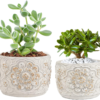 Pretty Cement Pots for Plants, Unique European Embossed Concrete Planters, 4.5" & 6.1" 2PC Decorated Ceramic Flower Pots, 3D Carving Pattern Garden Plant Pots Indoor Outdoor Succulent Pots - Image 2