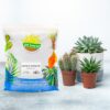 Cactus and Succulent Potting Mix (8 Quarts), Special Blend-Fast Draining and Desert-Style Gritty - Image 2