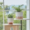 White Ceramic Flower Pots - 6.7 + 5.4 Inch Indoor Planters, Plant Containers in a Marble Ink Pattern with Rose Gold and Pink Detailing - Image 4