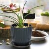 Set of 2 Stoneware Planter Pot, Ceramic Pot with Drainage Hole and Saucers, 4.5 Inch 5.8 Inch, Charcoal Grey, 99-D-CG - Image 6
