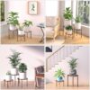 5-Pack Decent Metal Plant Stands, Heavy Duty Flower Pot Stands for Multiple Plant, Anti-Rust Iron Plant Pot Shelf, Decoration Racks for Home Indoor and Outdoor (5 Pack Bronze) - Image 6