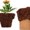 Coco Bliss Coco Coir - Compressed Coco Coir Bricks with Low EC and Ph Balance - High Expansion Coco Fiber for Herbs, Flowers, Planting - OMRI Listed Renewable Coconut Soil (650 Grams, 1 Brick) - Image 5