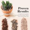 Bonsai Succulent and Cactus Soil - Jacks Gritty Mix #111 - Fast Draining – Fights Root Rot – Optimized Ph (1/2 Gallon / 2 Dry Quarts) - Image 4