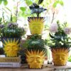 Sun Face Planters Pots Head Unique Head Planter with Drainage, Cute Flower Plant Pot for Indoor & Outdoor Plants, Funny Succulent Gardening Pots for Plant Lover Gifts (Purple Back,5.5Inch) - Image 3