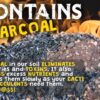 High Drainage Cactus Soil Potting Mix with Mycorrhizal Fungi - 8 Pounds / 4 Quarts of Soil for Succulents and Cactus - Slightly Acidic, Gritty Soil for Healthy Indoor Plants - - Image 4