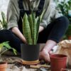Plant Pots Set of 2 Pack 8 Inch,Planters for Indoor Plants with Drainage Holes and Removable Base,Saucer Modern Decorative for Outdoor Garden Planters(Dark Grey 8In) - Image 6