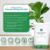 Fiddle Leaf Fig Potting Soil Mix by Fiddle Leaf Fig Plant Resource | Premium Organic Soil with Enhanced Drainage for Fast Growth and Healthy Roots (Large Bag) - Image 4