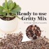 Bonsai Succulent and Cactus Soil - Jacks Gritty Mix #111 - Fast Draining – Fights Root Rot – Optimized Ph (1/2 Gallon / 2 Dry Quarts) - Image 3
