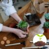 50Pcs(30Mm) Compressed Coco Coir Fiber Potting Soil- Coir Medium, Coconut Soil for Indoors or Outdoors, Bonsai, Herbs, Plants, Flowers and Vegetables - Image 5