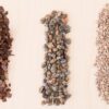 Bonsai Succulent and Cactus Soil - Jacks Gritty Mix #111 - Fast Draining – Fights Root Rot – Optimized Ph (1/2 Gallon / 2 Dry Quarts) - Image 6