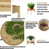 30" Plant Stand, 2 Tier Metal Flower Plants Holder with 2 Removable Display for Indoor or Outdoor,Pot Plant Planter Display(30 X 10In, Gold) - Image 5