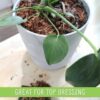 Houseplant Mulch - Small Bark Wood Chips for Indoor, Patio, Potting Media, and Much More! (8Qts) - Image 3