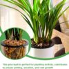 18Qt Organic Orchid Potting Bark -Natural Orchid Fertilizer for Potted Plants Mulch, Root Development of Orchid Plants and Garden Soil Amendment Mix - Image 3