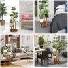 5 Tiered Tall Plant Stand for Indoor, Wood Plant Shelf Corner Display Rack, Multi-Tier Planter Pot Holder Flower Stand for Living Room Balcony Garden Patio (Walnut) - Image 4
