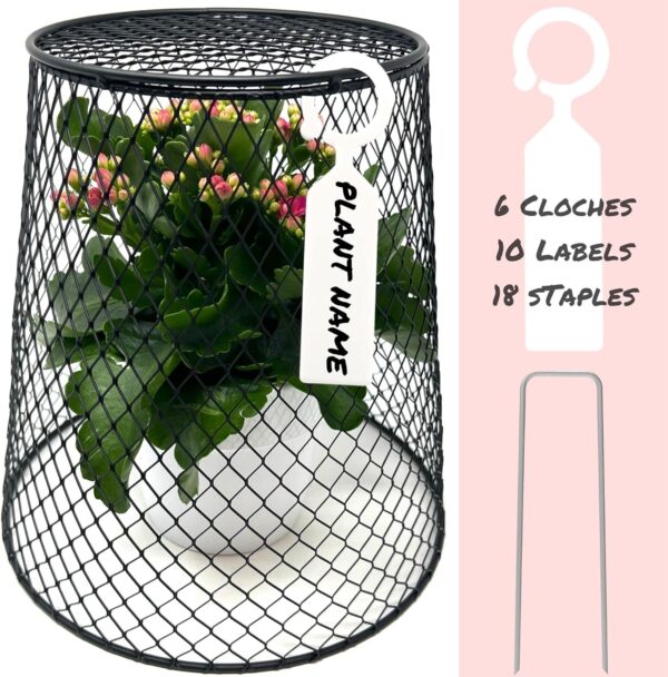Chicken Wire Plant Cover – 6 Garden Cloche Baskets, Cage Protectors from Animals and Rabbits, Includes 18 Garden Stakes and 10 Waterproof Labels (Black) - Image 2