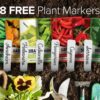 Pepper Seeds for Planting 8 Varieties Pack, Jalapeno, Habanero, Bell Pepper, Cayenne, Hungarian Hot Wax, Anaheim, Serrano, Cubanelle Heirloom Seeds for Planting in Garden Non GMO - Image 2