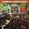 Potting Soil Mix 9Quart, Organic Soil Mix Orchid Bark, Sphagnum Moss and Leca Clay Pebbles for Indoor Plants, Orchid Fertilizer Garden Soil for Root Development, Improve Drainage and Aeration - Image 5