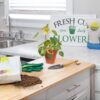Philodendron Plant Potting Soil Mix (8 Quarts), Special Blend for Heart Shape Philodendron Plants Et Al. - Image 3