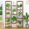Plant Stand Indoor Outdoor, 11 Tier Reinforced Plant Shelf Tall for Multiple Plants, Large Wood Plant Rack Holder, Garden Shelves, Flower Stand for Living Room Patio Corner - Image 2