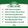 Organic Cactus Potting Soil Mix, Natural & Organic Soil for Cactus, Succulent, Palm, and Citrus Grown in Containers Both Indoors and Outdoors, 4 Qt, Pack of 1 - Image 3