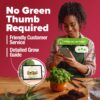 27,500+ Heirloom Vegetable & Fruits | 55 Variety Garden Survival Gear and Supplies Prepper Supplies | Non GMO Gardening Seed Starter Kit | Gifts for Men Women - Image 5