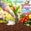 Premium Compressed Coco Coir Brick Each Brick=2.4Gallons Coconut Coir Potting Soil for Planting, 1.4Lbs Coco Block with Low EC and Ph Balance for Gardening Plants Flower Herbs and Vegetables - Image 3