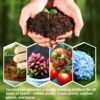 13.8 Gallons Coco Coir Brick for Plants- 6 Pack Premium 100% Organic Peat Moss Mix with Low EC & Ph Balance, Fiber Coconut Husk for Planting, Gardening, Potting Soil Substrate(8.4 Pounds) - Image 4