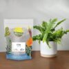 Fern Plant Potting Soil Mix (4 Quarts), Custom Hand Blended Mixture for Indoor/Outdoor Container Gardening - Image 2