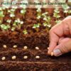 Premium Compressed Coco Coir Brick Each Brick=2.4Gallons Coconut Coir Potting Soil for Planting, 1.4Lbs Coco Block with Low EC and Ph Balance for Gardening Plants Flower Herbs and Vegetables - Image 6