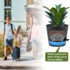 Self Watering Plant Pot, 10/9/8 Inch Set of 3 Plastic Planter Pots for Indoor Plants with Drainage Holes Deep Reservoir for Indoor Outdoor Plants and Flowers, Black - Image 7