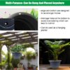 5-Pack 10 Inch Plastic Planters, round Flower Pots with Drainage Holes, Thick Sturdy Traditional Garden Pots Indoor and Outdoor(Dark Gray) - Image 2