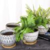 5.5 Inch Large round Bohemian Style Ceramic Planter, Geometry Engrave off White Brown Succulent Planter Flower Pot, Indoor Outdoor Decorative Planter - Image 7