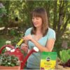 Watering Can Singles All Purpose Water Soluble Plant Food, Includes 24 Pre-Measured Packets - Image 3