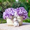 Rabbit Flower Pot Succulent Planter Garden Pots, Decorative Flower Pot,Animal Shaped Cartoon Planter Pots,Art Decorations（With Drainage Hole） - Image 4
