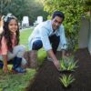 Black Rubber Mulch Border for Landscaping, 8' L X 2' W Roll, Natural-Looking Permanent Garden Barrier for Plants, Vegetables, and Flowers, Recycled and Sustainable, 16 Plastic Anchors Included - Image 2