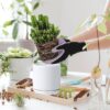 Set of 2 Plants Pot, 6 Inch Ceramic Planter Pot for Plants with Drainage Hole and Saucer, White, 94-V-S-1 - Image 6