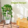 Plant Stand Indoor Tall, 2 Tier Outdoor Metal Potted Plant Stand Plant Shelf Flower Pot Stand for Multiple Planter,Rustproof Corner Plant Rack(20.3'') - Image 2