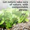 Premium Garden Straw (4 LBS) - Straw Mulch That Is Designed for Use in Compost Beds, Gardens, Pet Bedding, Lawns and Much More. by - Image 4