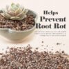 Bonsai Succulent and Cactus Soil - Jacks Gritty Mix #111 - Fast Draining – Fights Root Rot – Optimized Ph (1/2 Gallon / 2 Dry Quarts) - Image 2