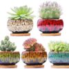 Cute Ceramic Succulent Garden Pots, Planter with Drainage and Attached Saucer, Set of 5 -Plants Not Included (Round)