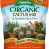 Organic Cactus Potting Soil Mix, Natural & Organic Soil for Cactus, Succulent, Palm, and Citrus Grown in Containers Both Indoors and Outdoors, 4 Qt, Pack of 1