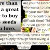 50 Vegetable & Fruit Seeds for Planting Outdoor & Indoor Conventional Seed Gardens. Includes 12,500 Seeds, 50 Seed Markers, a Planting Guide & Survival Packaging. Open-Pollinated Seeds by - Image 5