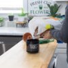 Cactus and Succulent Potting Mix (8 Quarts), Special Blend-Fast Draining and Desert-Style Gritty - Image 4