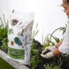 Brut Super Soil Potting Mix – 21 Quarts – Rich, Dark All-Purpose Soil – Convenient, Ready to Use Right from the Bag.– Healthy and Natural - Image 7