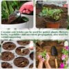 Premium Compressed Coco Coir Brick Each Brick=2.4Gallons Coconut Coir Potting Soil for Planting, 1.4Lbs Coco Block with Low EC and Ph Balance for Gardening Plants Flower Herbs and Vegetables - Image 5