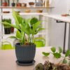 Set of 2 Stoneware Planter Pot, Ceramic Pot with Drainage Hole and Saucers, 4.5 Inch 5.8 Inch, Charcoal Grey, 99-D-CG - Image 2