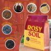 Cactus and Succulent Potting Mix for Houseplants - Fast Draining Soil for Succulents, Aloe Vera, Indoor Plant - Root Boosting Biochar for Drought Tolerant Growth - Peat Free (1Ct, 4 Quart) - Image 5