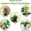 Indoor Plant Soil 4Qt | Perfectly Balanced Potting Mix | Gardening Substrate for All Varieties of Live Houseplants - Image 2